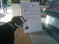 Rabbit is not happy about this sign's implications